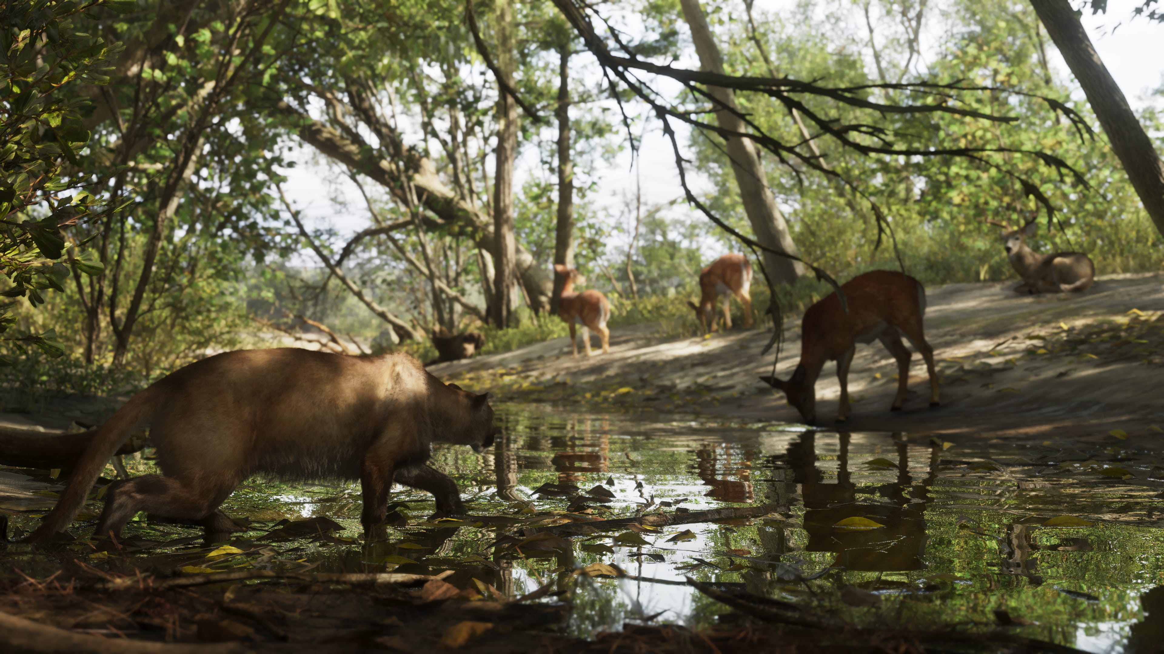 Galerie Parc national Mount Kalaga 5